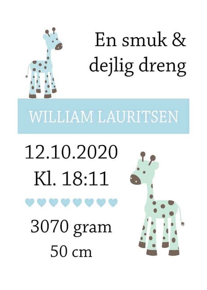 Födelseposter med giraff för pojkar, datum, namn, vikt och tid