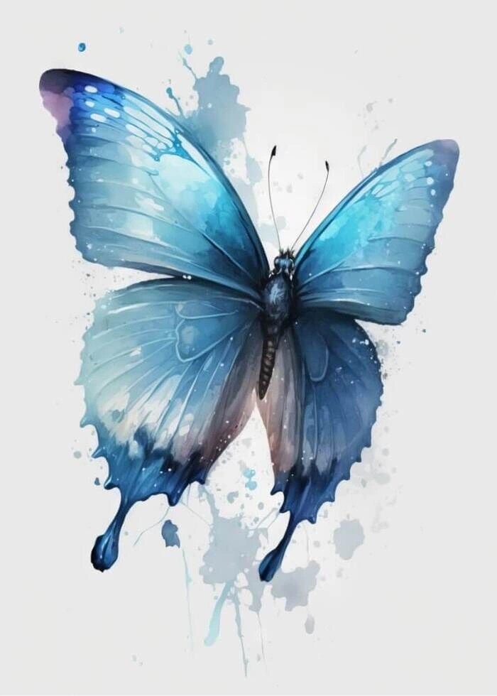 Poster - Fjäril rosa, blå