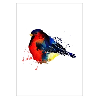 Poster med en bild av en dompap -fågel