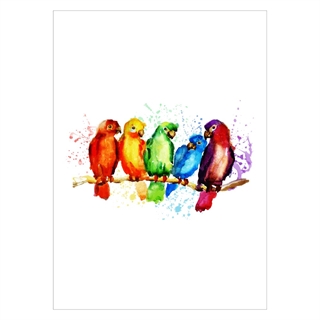 Poster med färgglada papegojor på gren