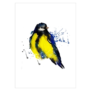 Poster med gul Tomtit -fågel