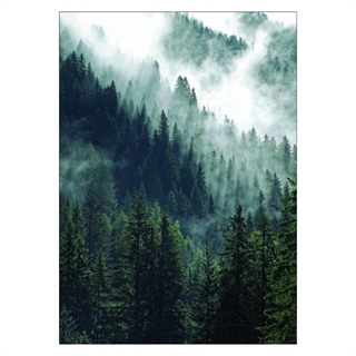 Poster - Bergskog och dimma
