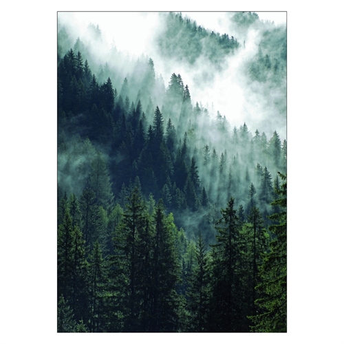 Poster med fjällskog och dimma