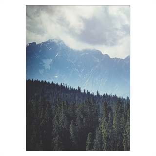 Poster - Gröna bergskog landskap