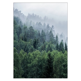 Poster med träd på berget med dimma