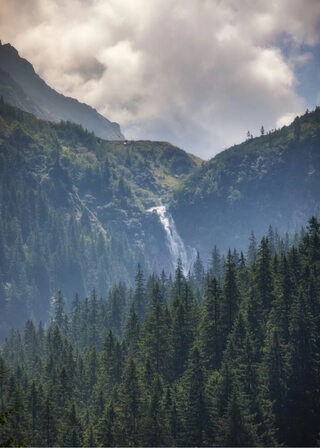 Poster - Träd på berg med vattenfall