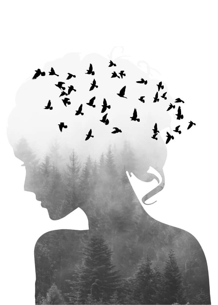 Poster - Silhouette Women and Birds. Posteren föreställer en kvinna i profil som har fåglar som flygande in i sig