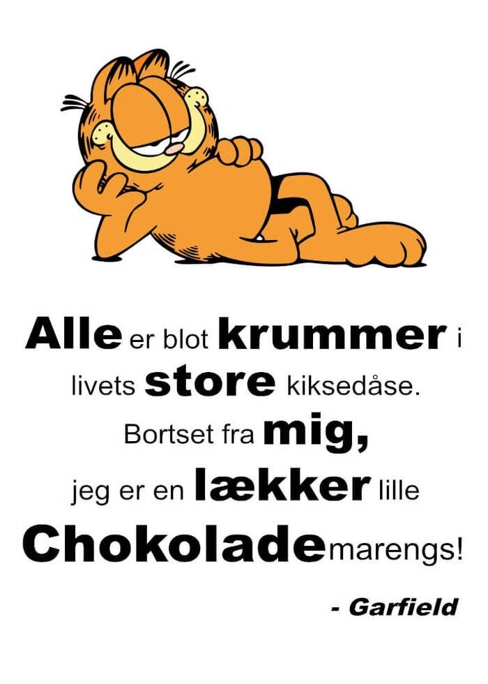 Stort roligt citat av seriefiguren Garfield