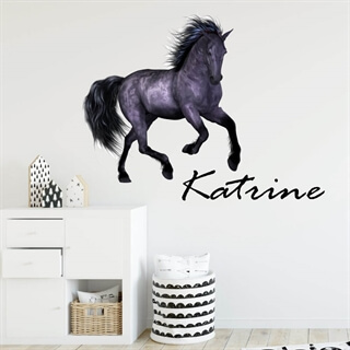 Eget namn med häst  - Wallstickers