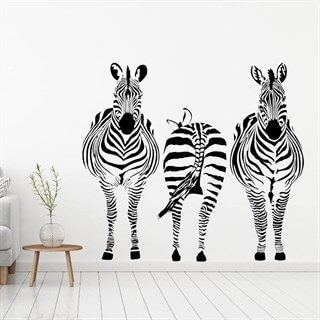 Wallstickers 3 zebra på stripe 