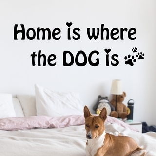 Wallstickers med engelsk text – Home is where the dog is